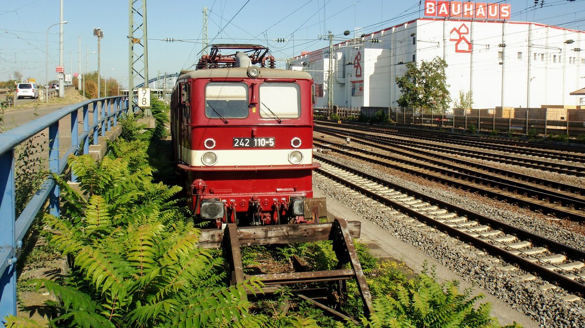 242 110-5 (91 80 6142 110-6 D-EBS) steht mit 242 145-1 in einem Prellbockgleis im Bahnhof MA-Waldhof. Mittlerweile ein kleiner Urwald. Aufgenommen am 04. Oktober 2018.