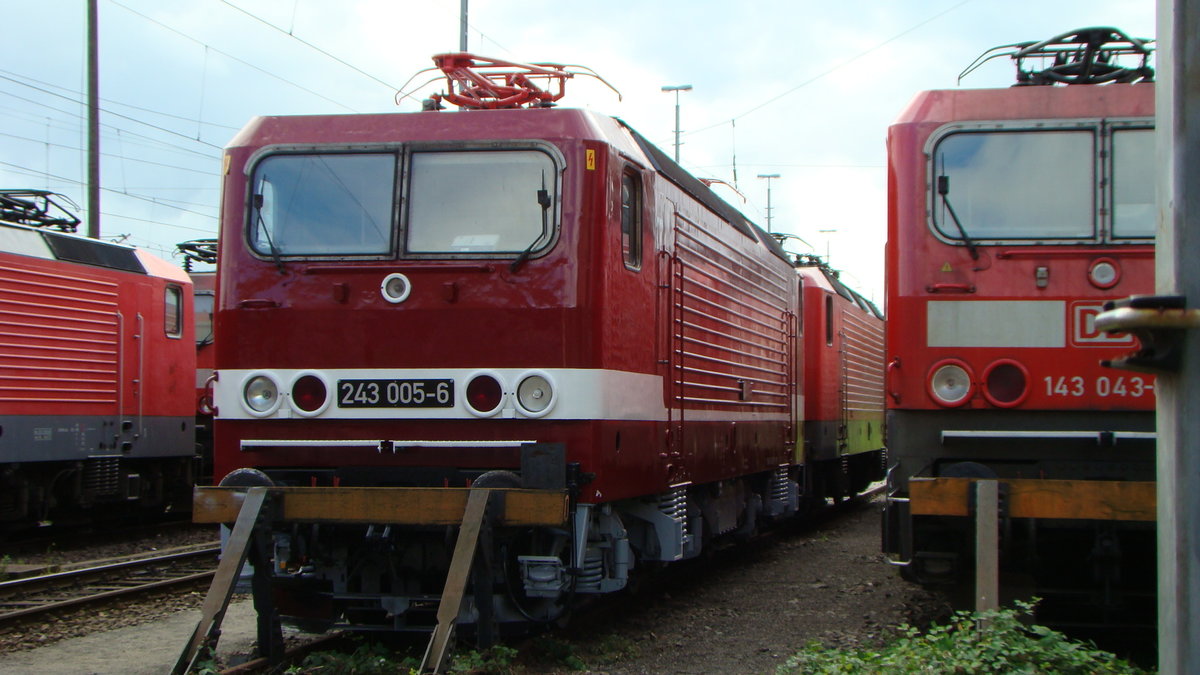 243 005-6 DR bei der DB Regio in Halle z.T.d.o.T. 14.07.2012