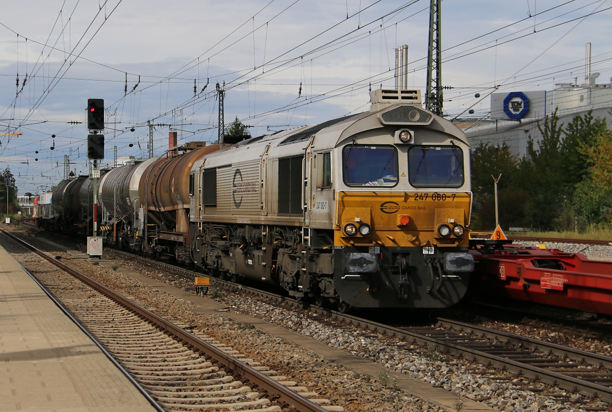 247 060-7 mit einem kurzen Güterzug aus Richtung München Hbf kommend. Aufgenommen in München Heimeranplatz am 07.10.2014.