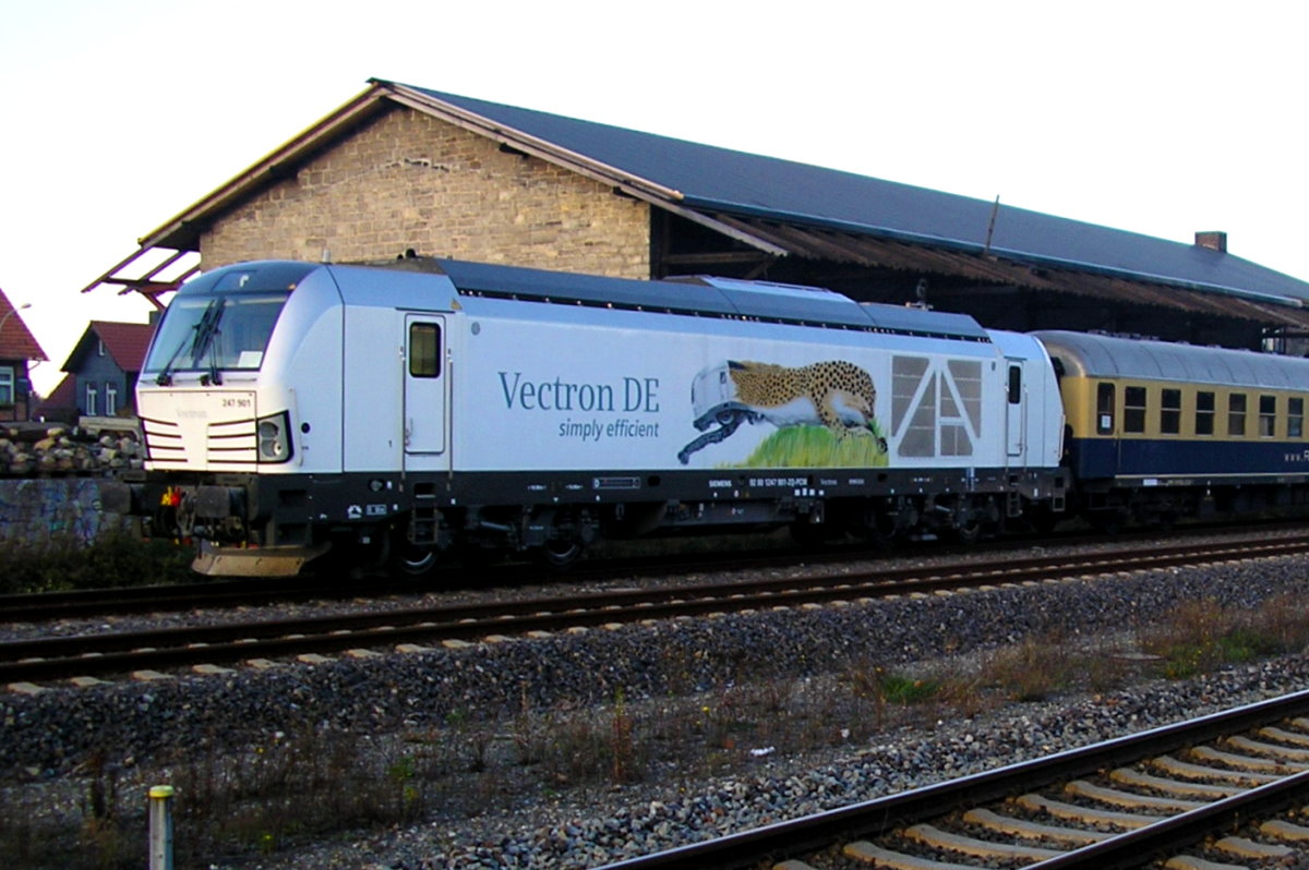 247 901 mit dem Rheingold-Zug in Wernigerode; 08.11.2014