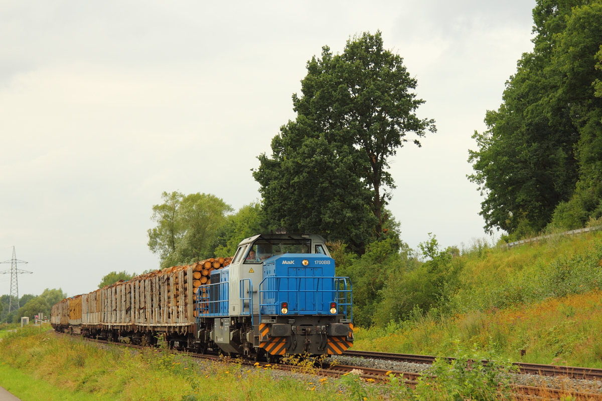 277 005-5 mit einem SETG Holzzug bei Burgkunstadt am 03.08.2016.