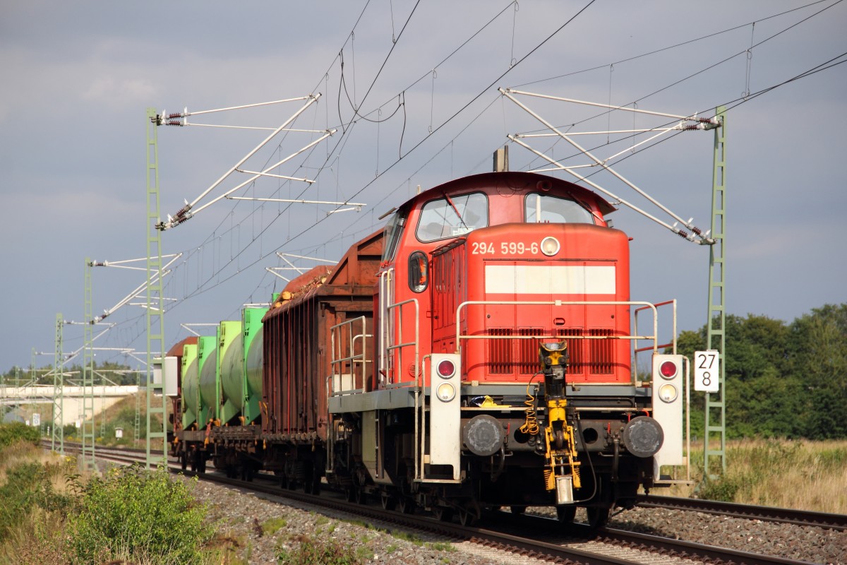 294 599-6 DB Schenker Rail bei Lichtenfels am 03.09.2013.