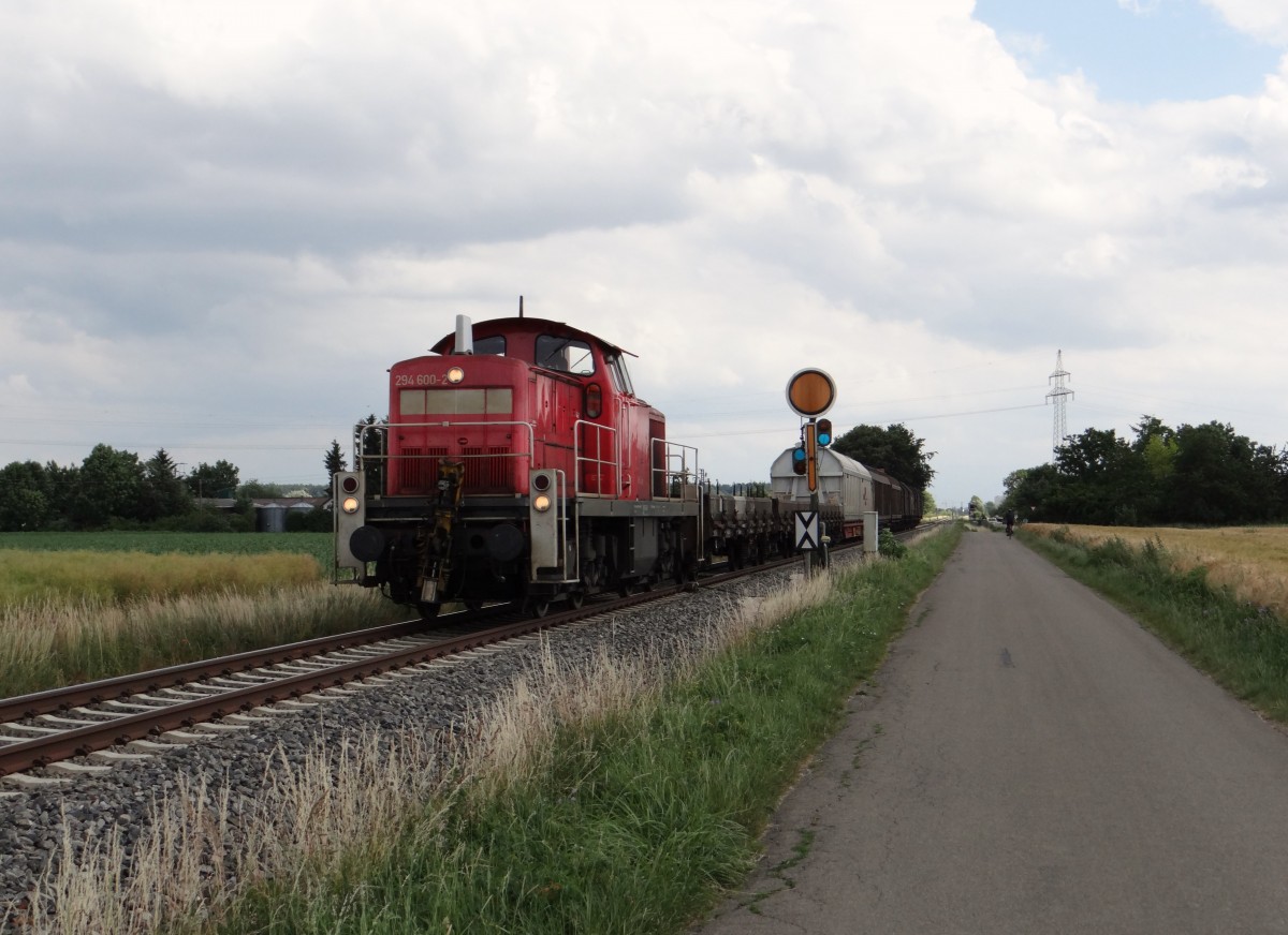 294 600-2 ist am 25.06.14 Neu-Ulm zusehen.