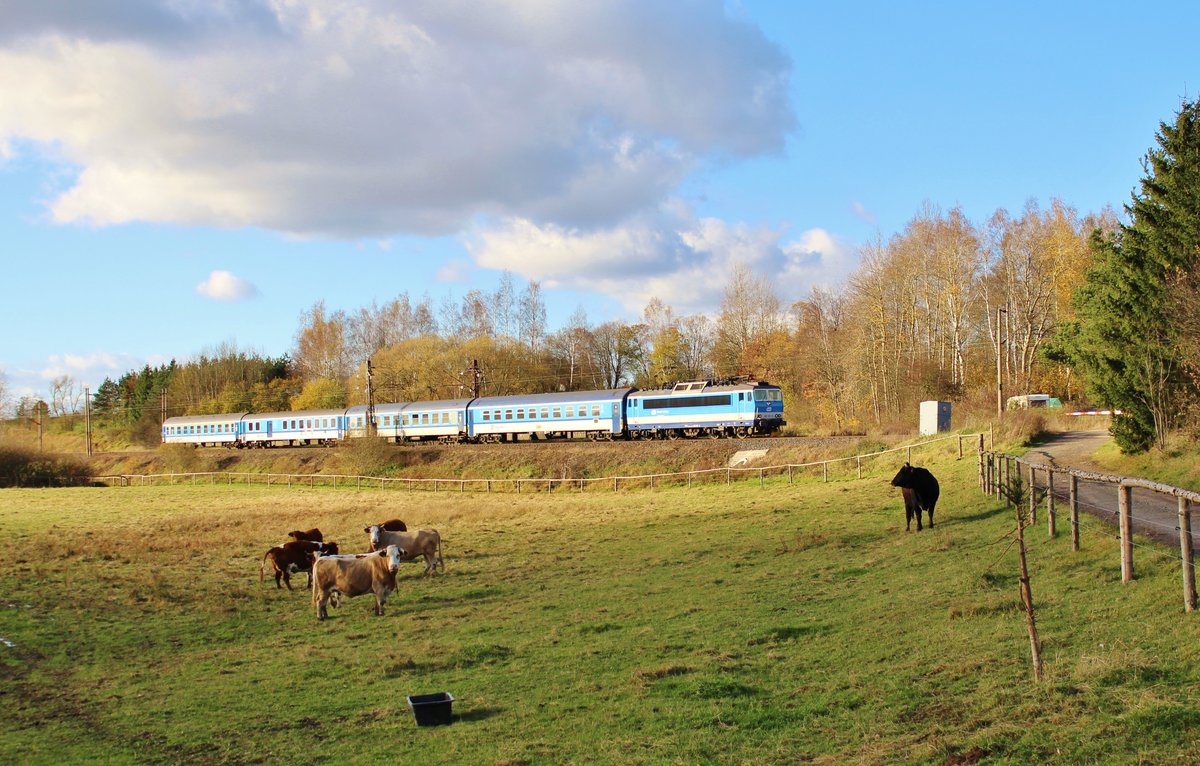 362 132-3 mit R 613 Svatava zu sehen am 30.10.17 in Chotikov.