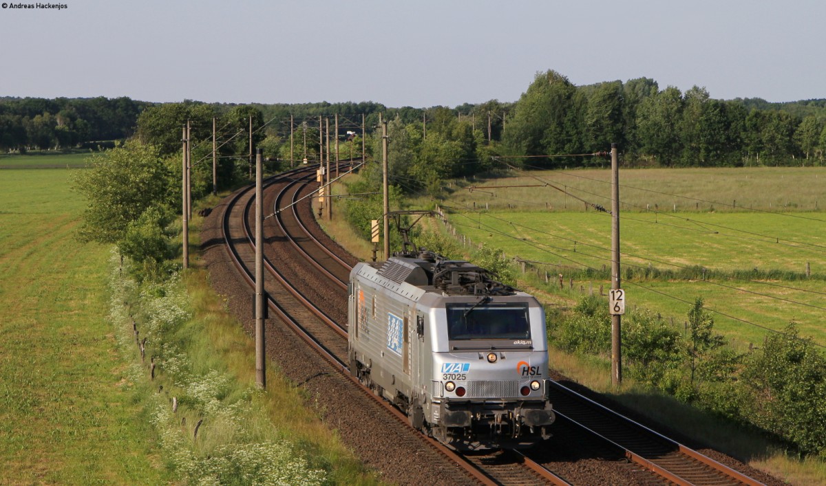 37025  als Tfzf bei Ramelsloh 30.5.14