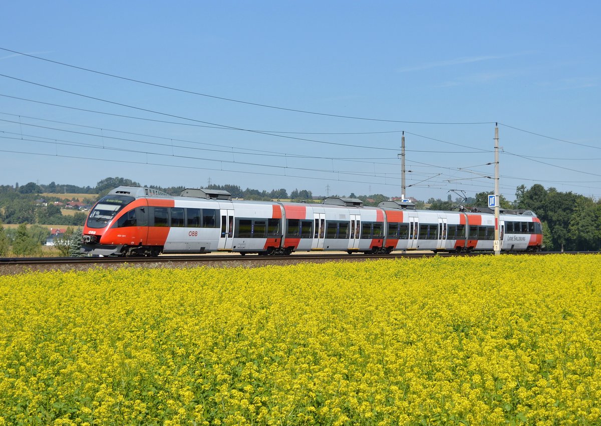 4024 029 passierte am 13.09.2015 ein Rapsfeld bei Wartberg an der Krems!