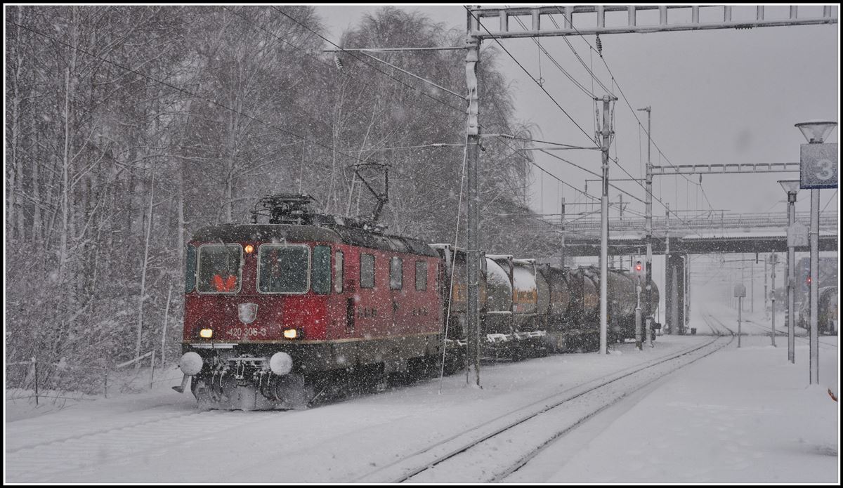420 306-3 mit Güterlast aus Ems Werk muss in Felsberg der S1 nach Rhäzüns Platz machen. Nur das linke Gleis in Fahrrichtung Domat/Ems ist mit der dritten Schiene ausgerüstet. (09.01.2019)