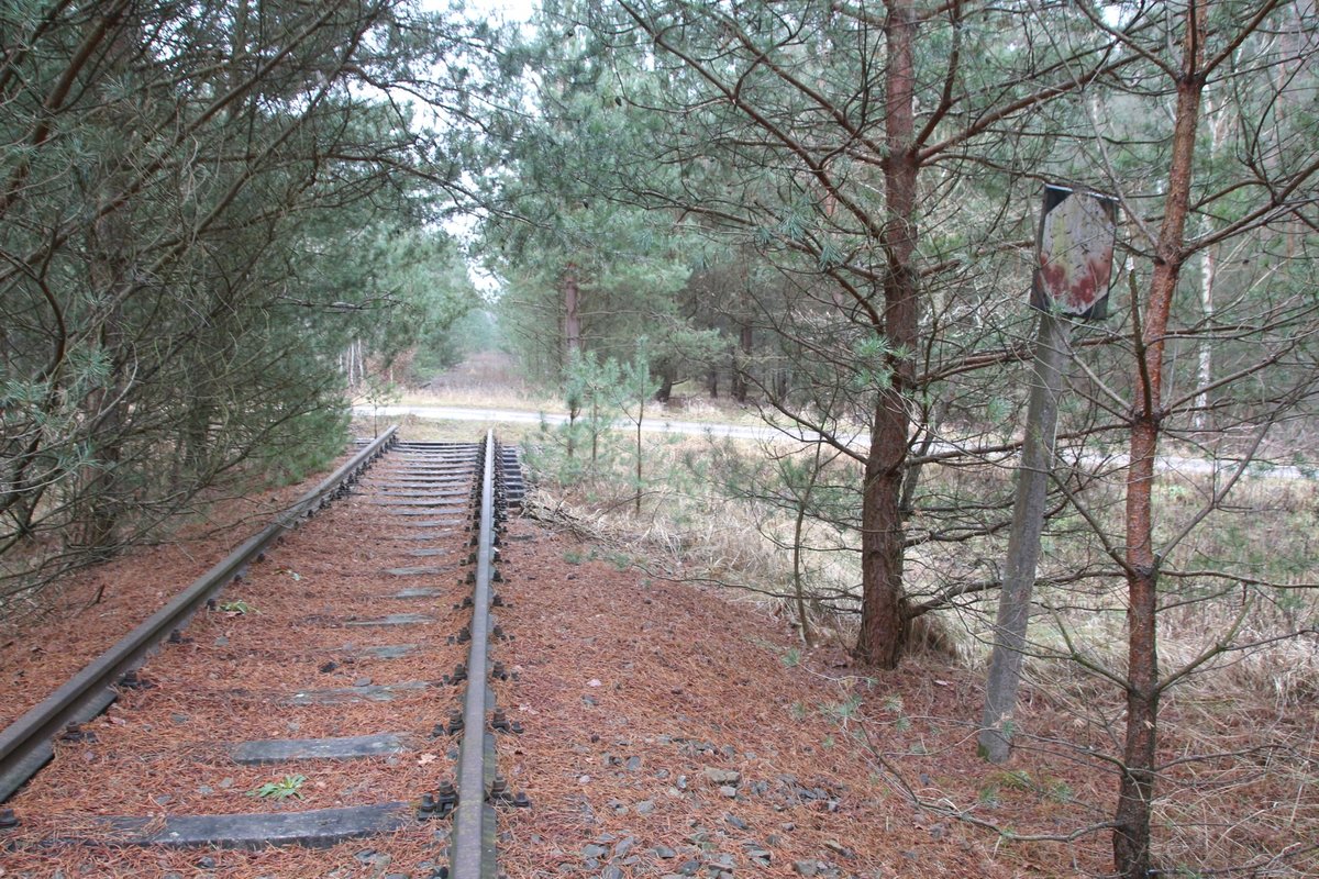 4.2.18 auf ca. halber Länge der Strecke Fichtengrund - Schmachtenhagen, ehem. Güteraussenring. Man beachte das Signal Lf 5 / Ecktafel. ( Die durch Lf 4 angezeigte Geschwindigkeit muss durchgeführt sein. ) Der oder die Tf sollte sich daran halten.
