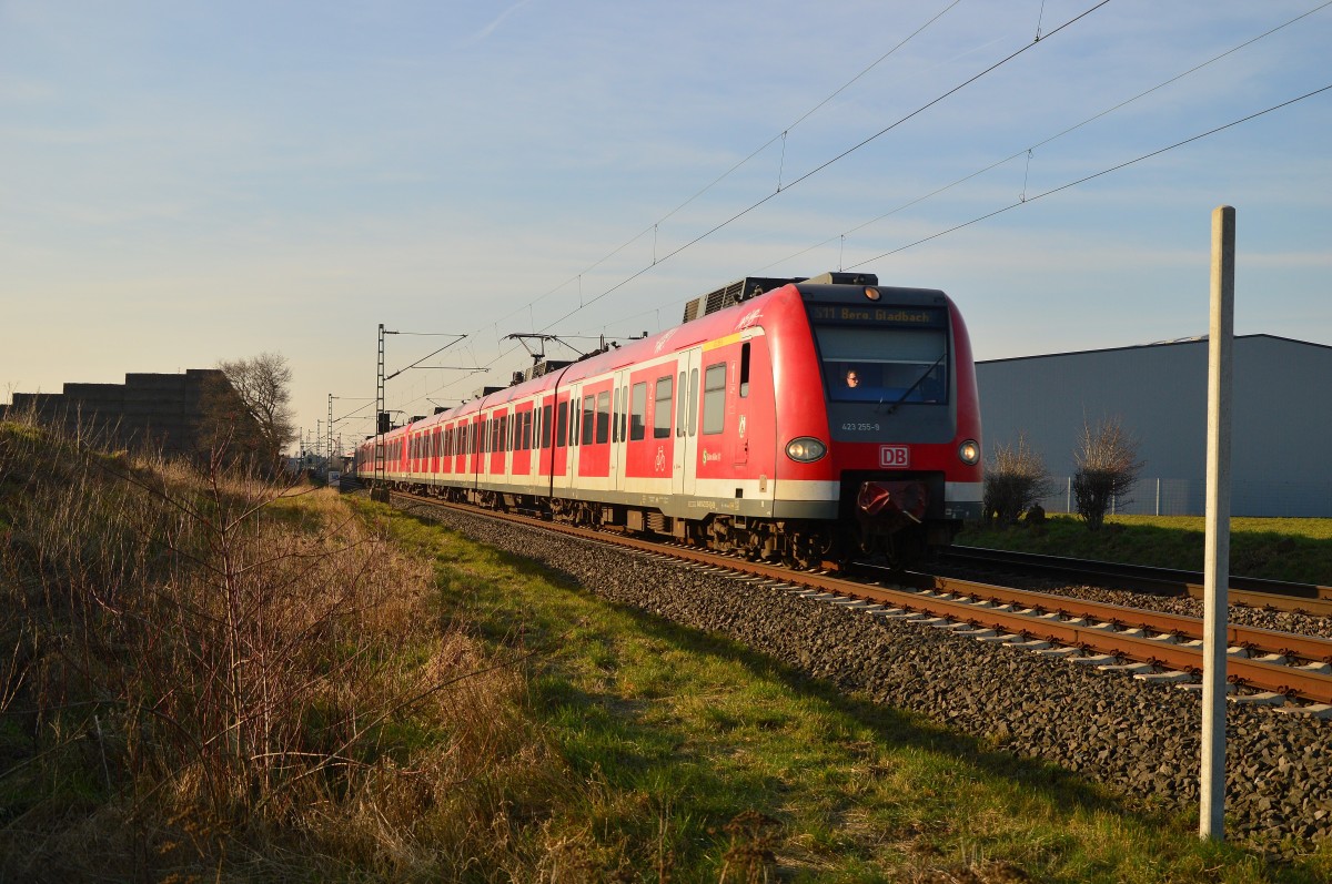 423 247 als S11 nach Bergisch Gladbach bei Allerheiligen. 14.3.2016