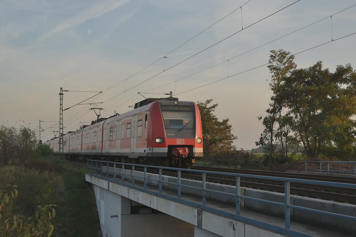 423 253 auf der K33 Brücke als S11 gen Düsseldorf Flughafenbahnhof Terminal am Sonntag 17.10.2018