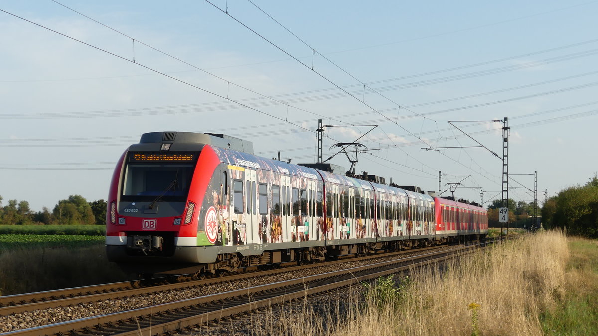 430 100  Pokalsieger Bahn  als vorderes Tfz an einer S7 nach Frankfurt Hbf zwischen Riedstadt Wolfskehlen und Groß-Gerau Dornheim. Aufgenommen am 22.8.2018 19:06