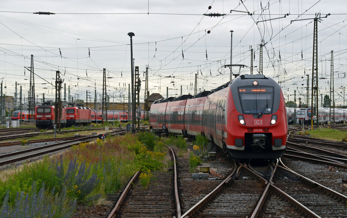 442 314 schlängelt sich von Dresden kommend am 21.06.16 durch´s Leipziger Gleisvorfeld. 