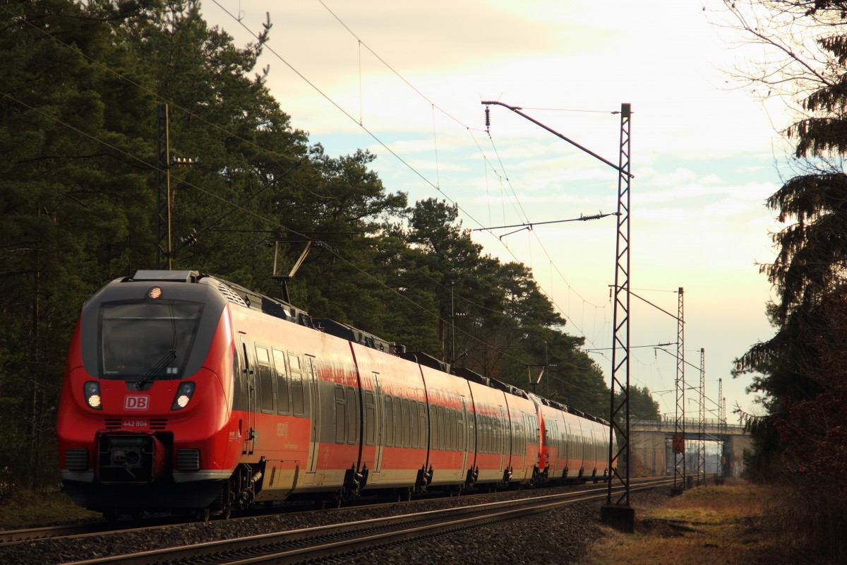 442 804 DB Regio bei Strullendorf am 07.01.2014.