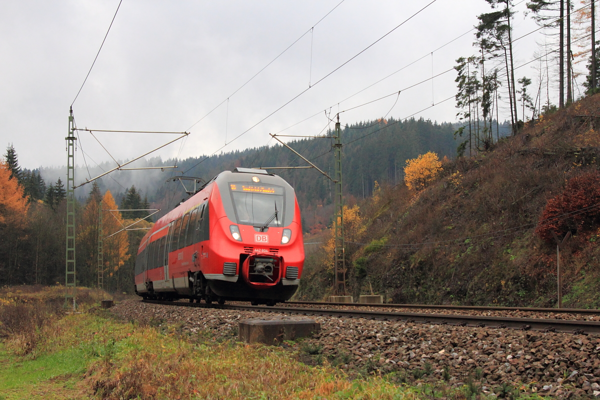 442 804 DB Regio bei Förtschendorf im Frankenwald am 09.11.2015.