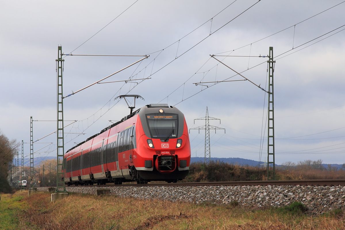 442 804 DB Regio bei Gruben am 21.11.2015.