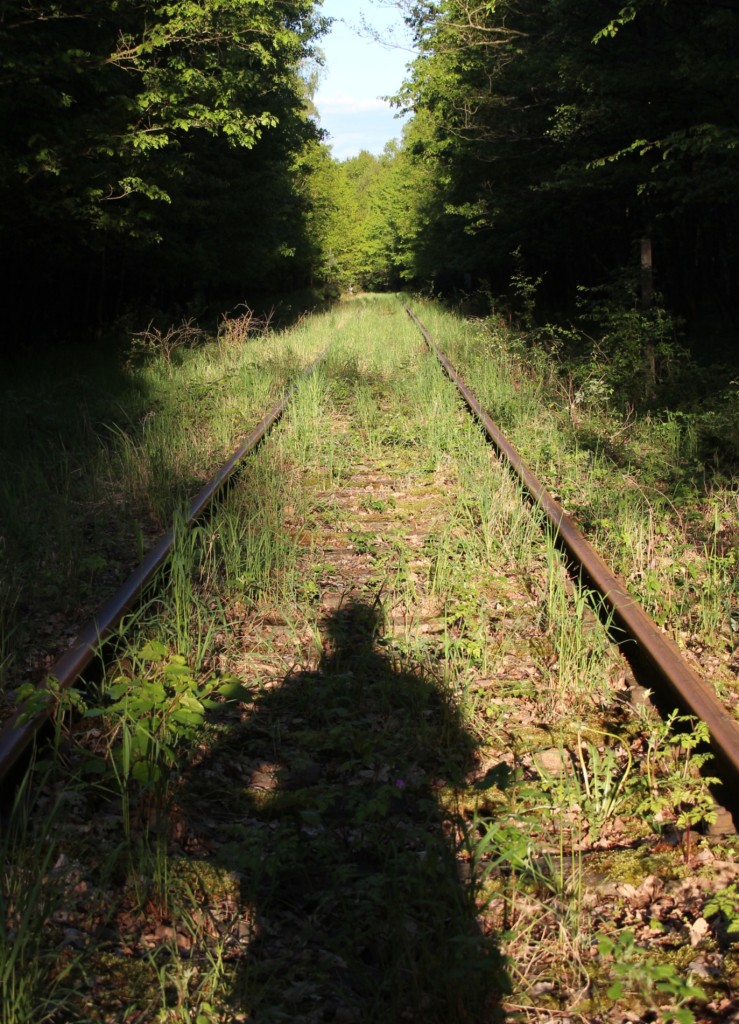 4.5.2014 stillgelegter bzw. von Draisinen/Schienefahrrädern befahrener Abschnitt der Wriezener Bahn bei Leuenberg - der Beweis, Bahnfotografen haben tatsächlich einen Schatten