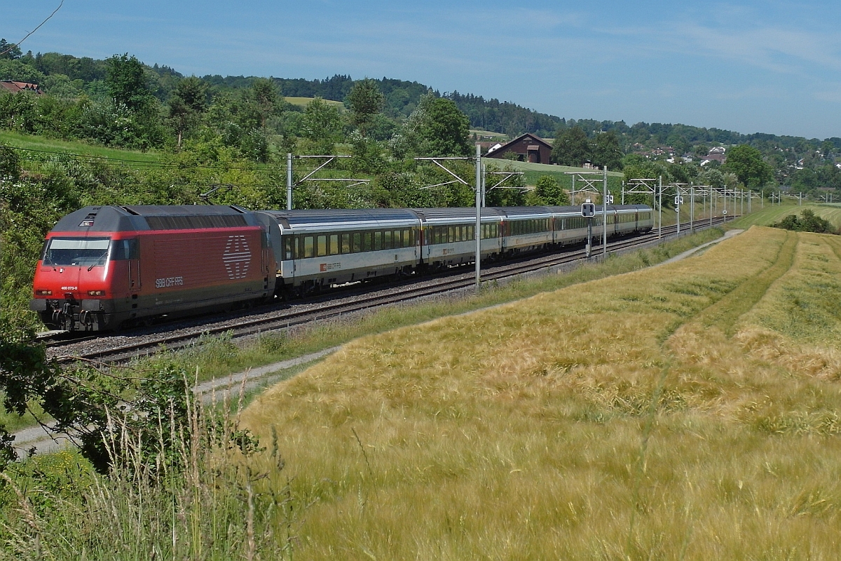 460 073-0 zieht die Wagen des IR 2118, Konstanz - Zrich, zwischen den Stationen Tgerwilen Dorf und Kreuzlingen Bernrain den Seercken hinauf (11.06.2017).