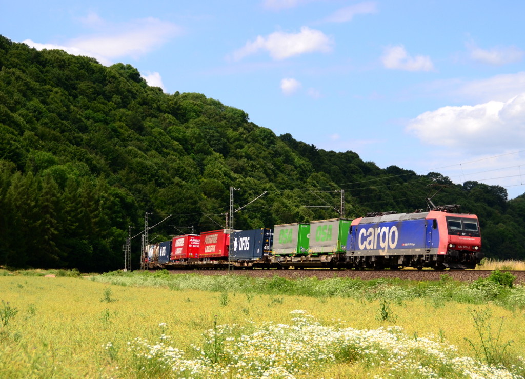 482 007 mit DGS 43017 Hamburg Billwerder Ubf - Gallarate am 26.06.2016 bei Freden(Leine)