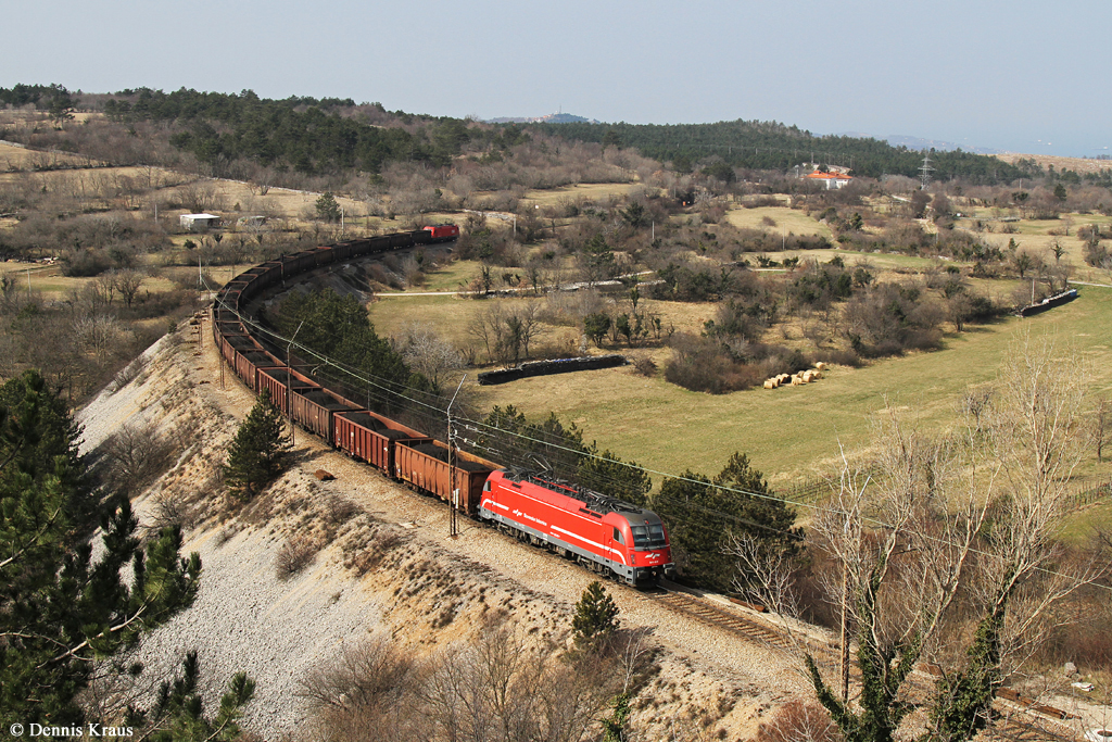 541 017 mit Güterzug am 14.03.2015 bei Crnotice.