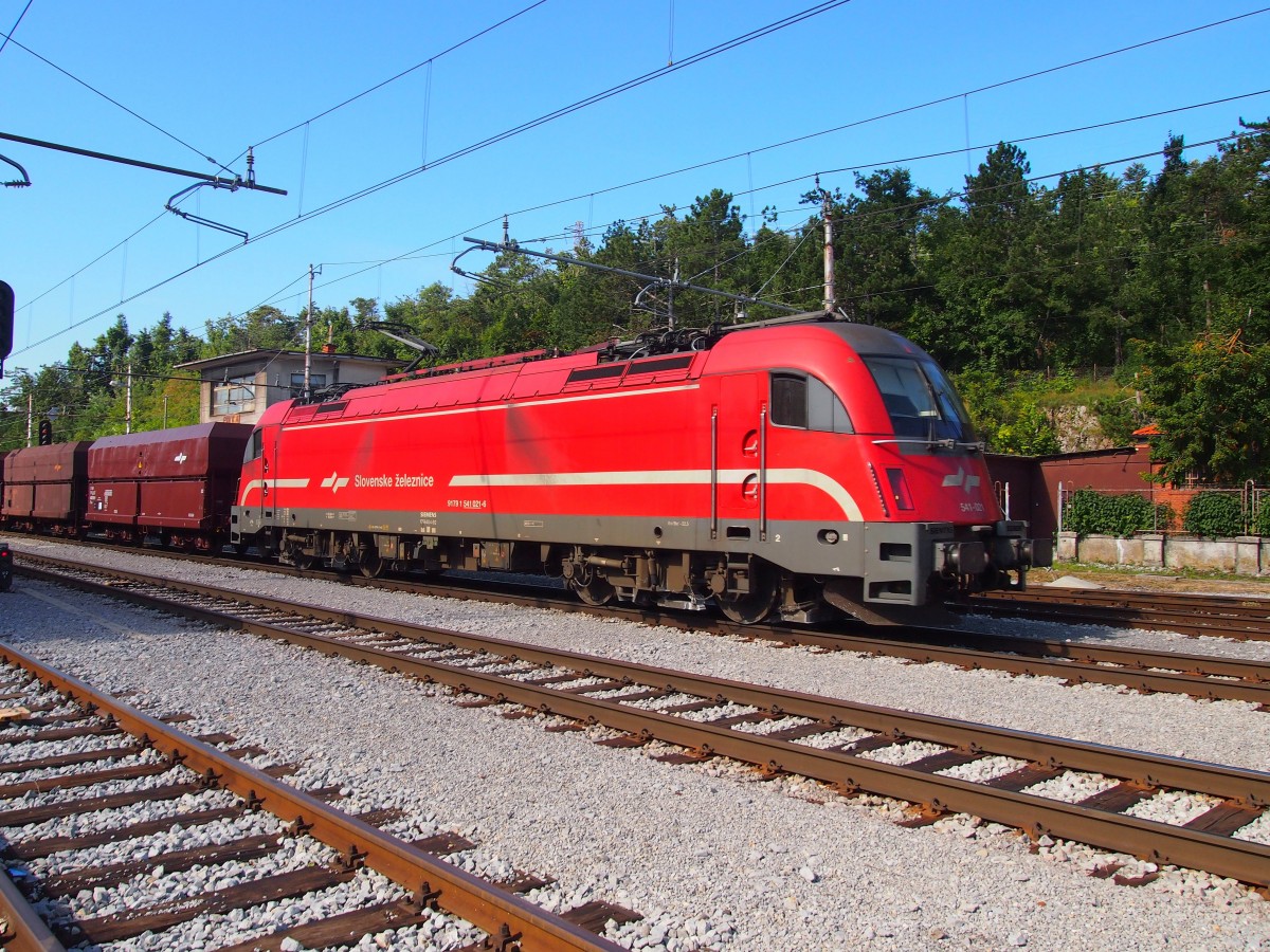 541 021-6 mit Güterzug im Bhf. Pivka am 11. 9. 2015