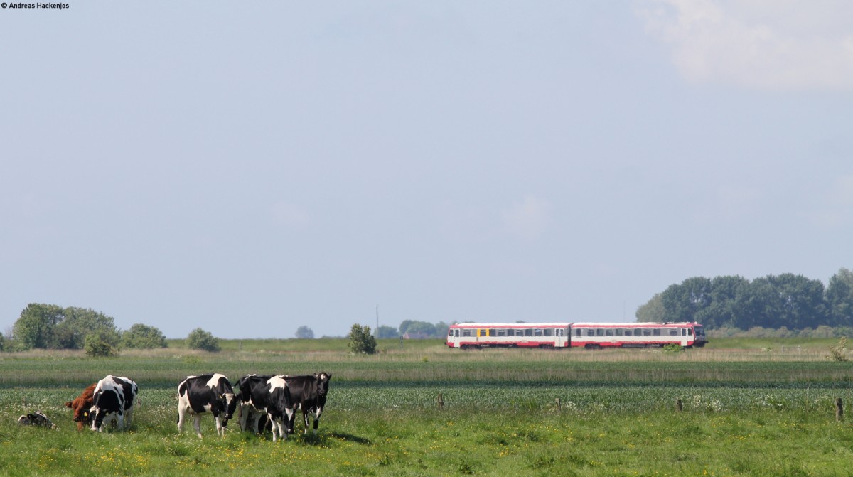 628 071-8 als neg 10 (Dagebüll Mole-Niebüll) bei Galmsbüll 30.5.14