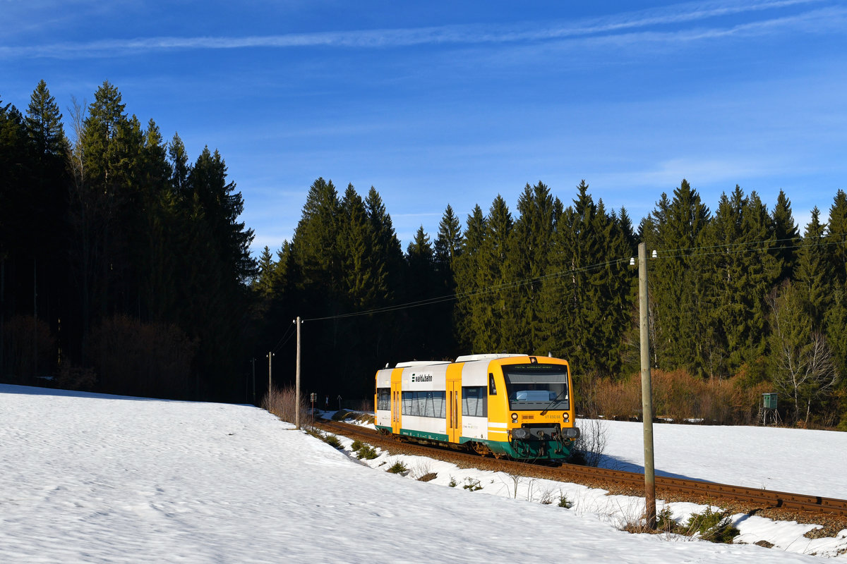 650 066 als WBA2 am 15.03.2018 bei Waldmann. 