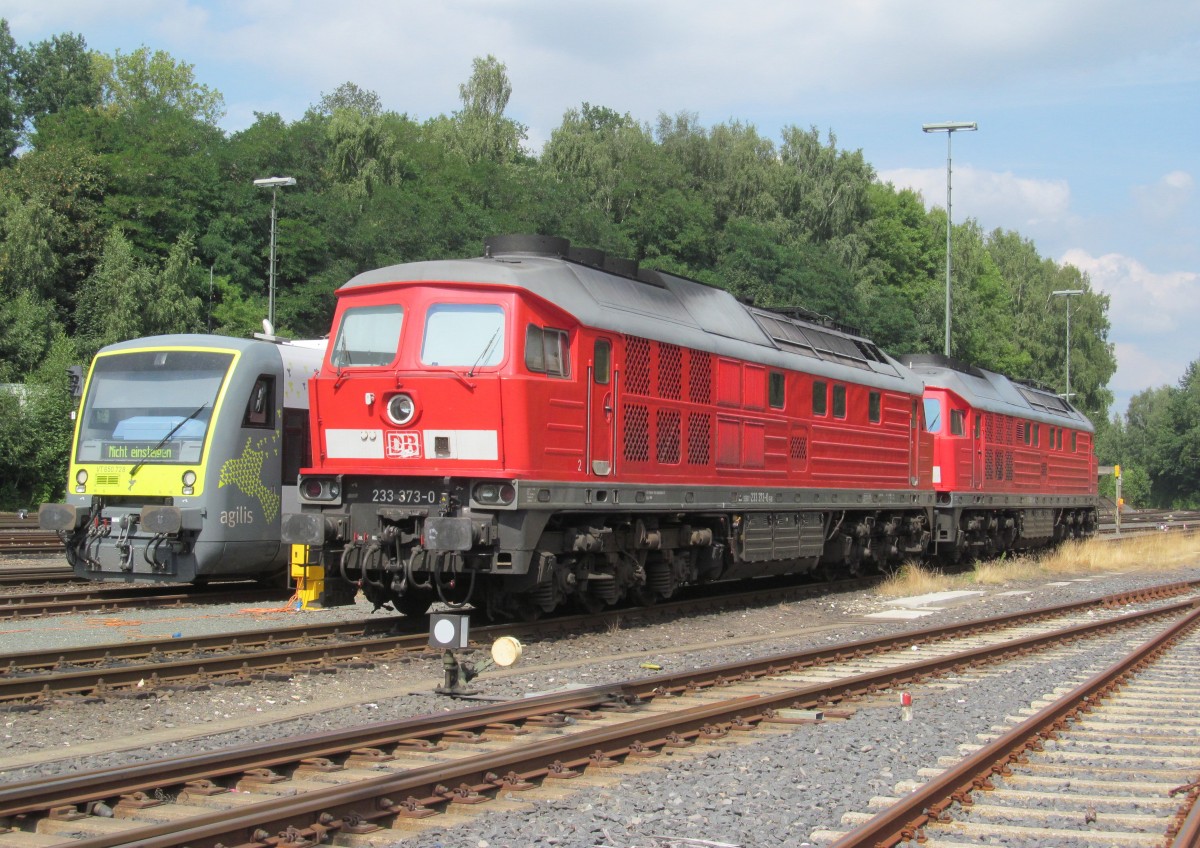 650 728 von Agilis, 233 373-0 und 232 252-7 stehen am 24. August 2013 in Marktredwitz abgestellt.