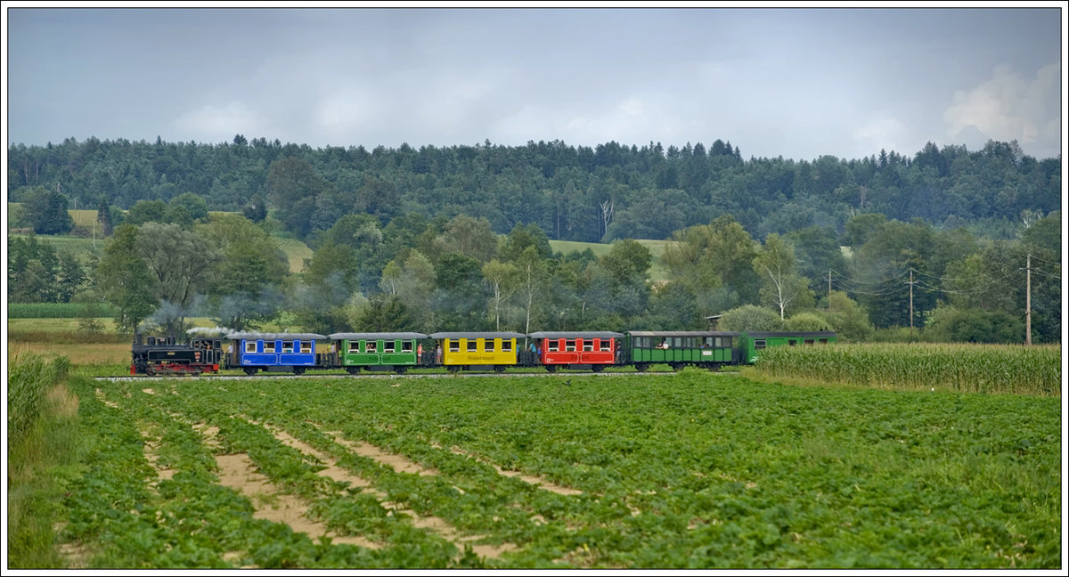 764.411R mit dem Stainzer Flascherlzug am 9.7.2017 zwischen Kraubath und Neudorf/Stainztal aufgenommen. Durch die enorme Masse an Maisfeldern im heurigen Jahr ist dies eine der wenigen Stellen, wo man den Zug von der Seite aufnehmen kann. Nett wird diese Stelle dann im Herbst, wenn die Kürbise reif sind.