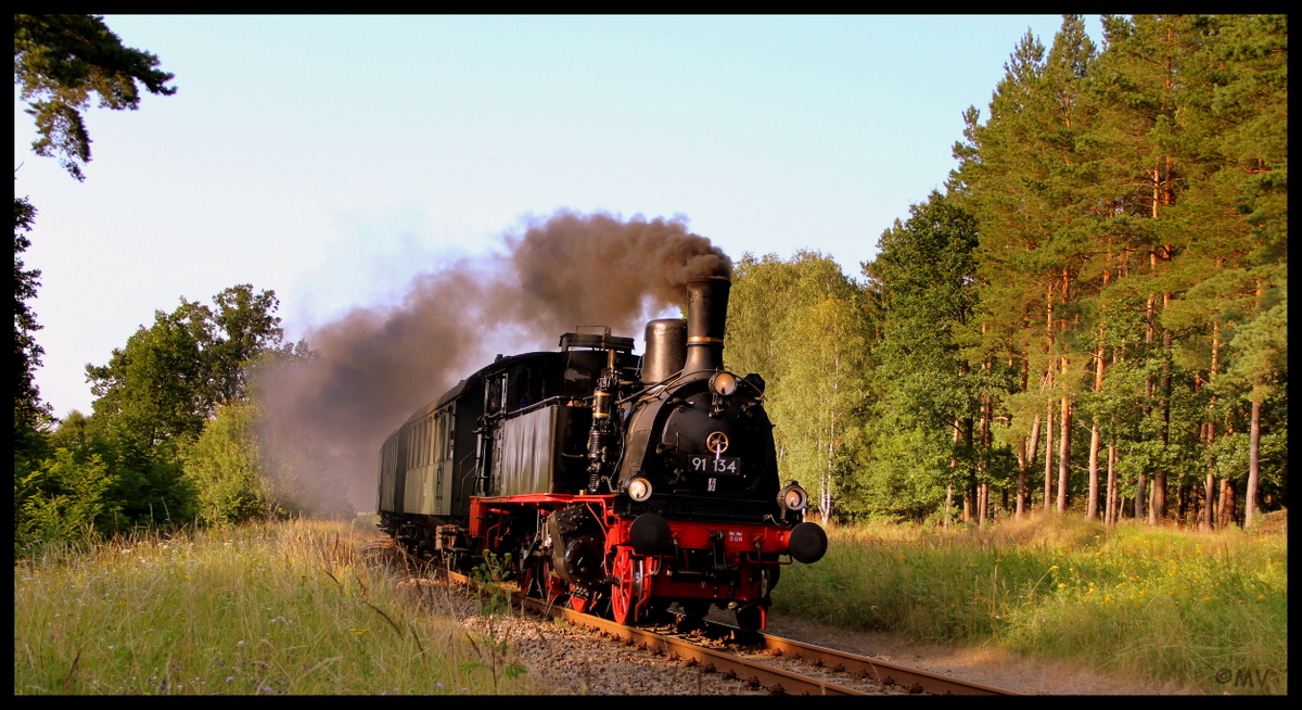 91 134 mit einem Sonderzug nach Pasewalk am 24.07.16 bei Jatznick