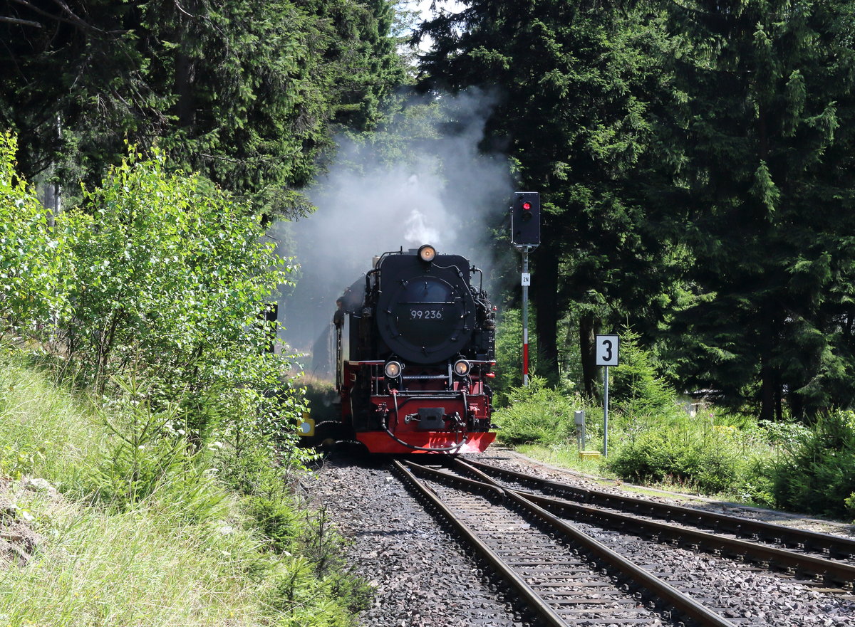99 236 erreicht mit dem P8927 (Drei Annen Hohne - Brocken) den Bahnhof Schierke. 

Schierke, 06. August 2017