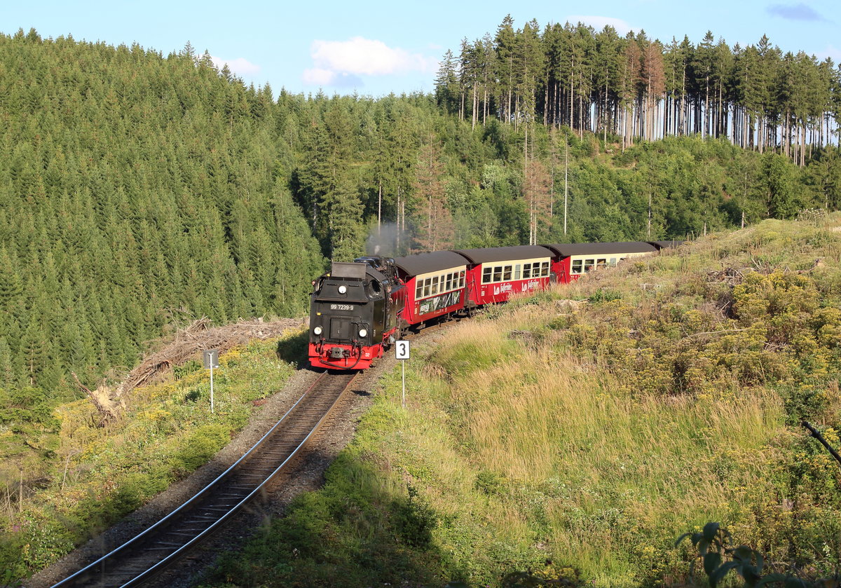 99 7239-9 erreicht mit P8934(Brocken - Wernigerode) gerade noch im schönsten Sonnenlicht die Fotostelle unterhalb des Hotels Drei Annen.

Harzquerbahn, 04. August 2017