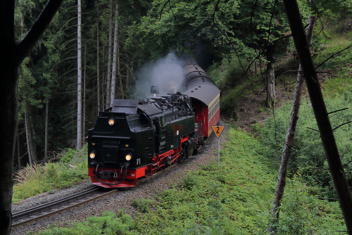 99 7247-2 rollt mit dem P8936 (Brocken - Wernigerode) talwärts zwischen den Bahnhöfen Drängetal und Steinerne Renne.

Harzquerbahn, 04. August 2017