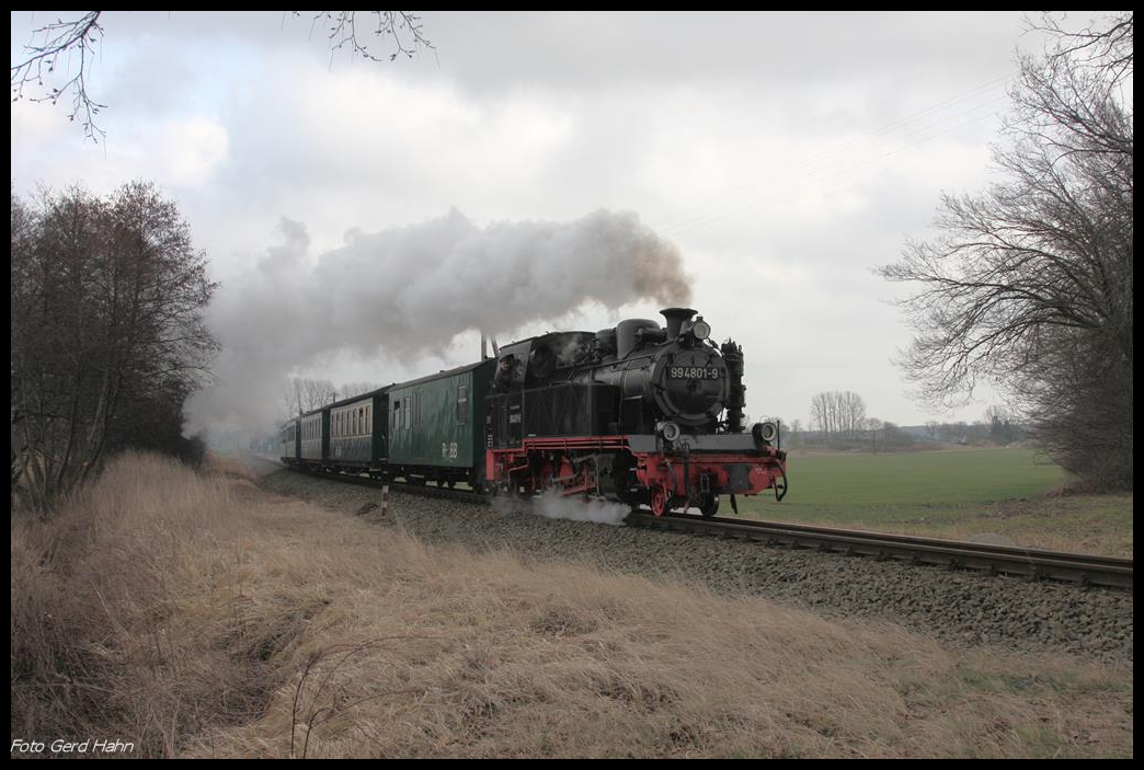 994801-9 hat mit dem Personenzug nach Putbus den Haltepunkt Beuchow verlassen und erklimmt hier am 2.3.2017 um 15.04 Uhr die letzte Steigung vor Putbus.