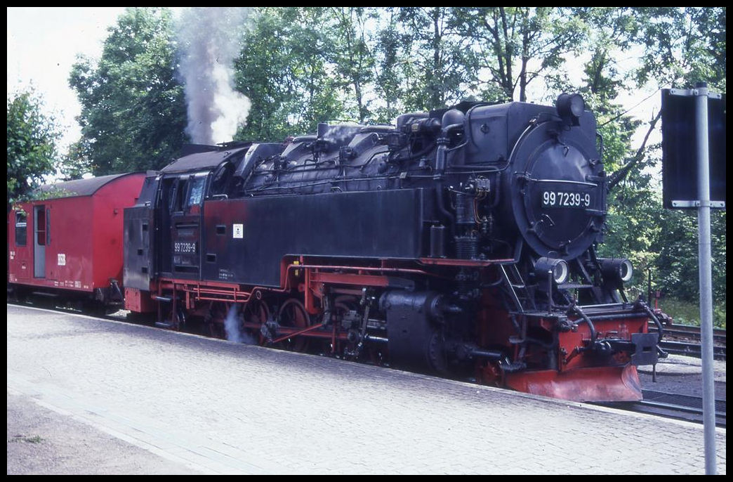 997239-9 wartet hier vor einem Personenzug am 20.7.1996 auf die Weiterfahrt im Bahnhof Drei Annen Hohne.