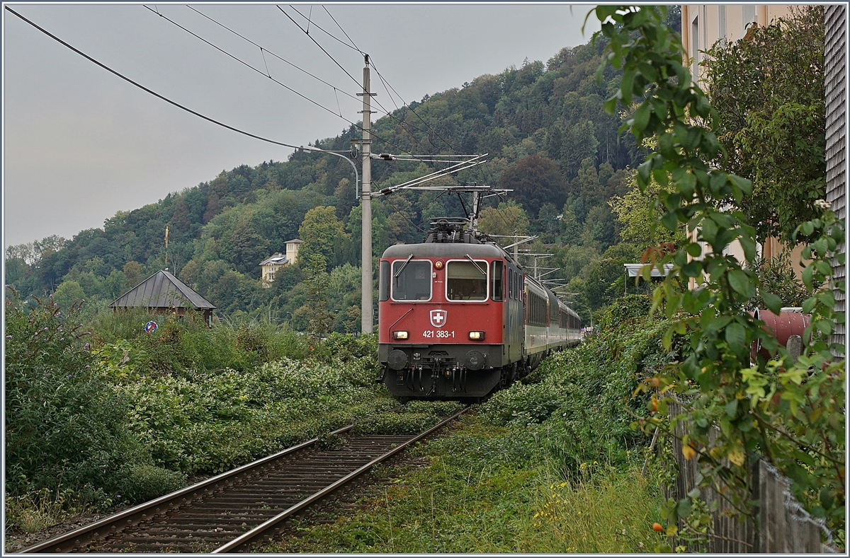 Aller Trockenheit zum Trotz: es blüht und grünt in Bregenz, dass die SBB Re 421 383-1 mit ihrem EC von München nach Zürich nur mit Mühe die Schienen findet.

21. Sept. 2018