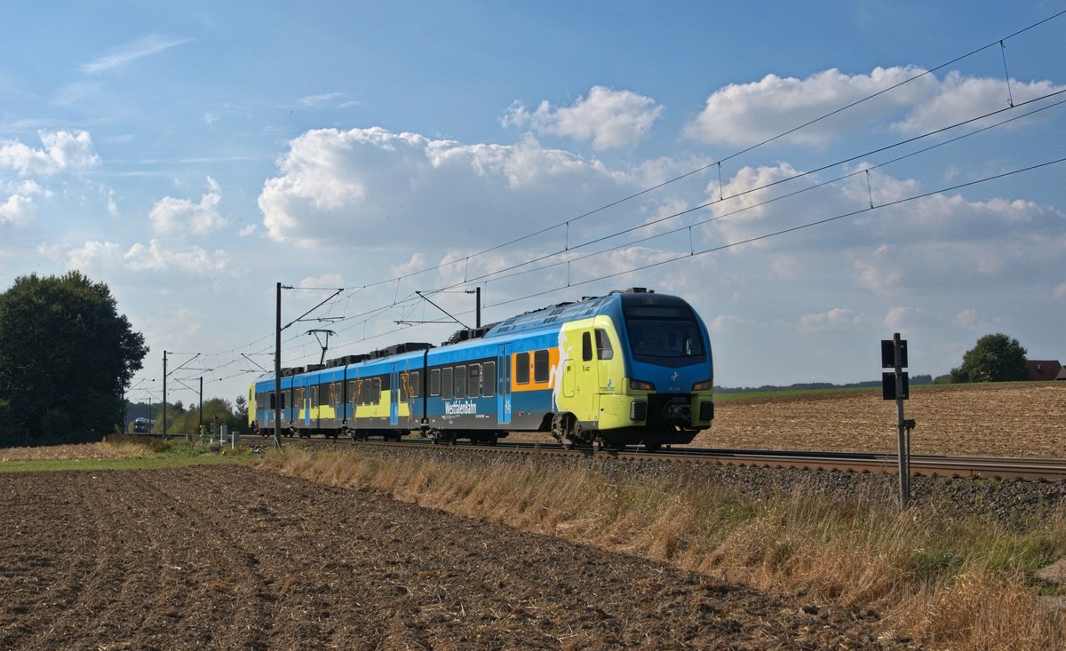 Alpha Trains Europa 1428 108, vermietet an Westfalenbahn (ET 408), als RB 61 (90505)  Wiehengebirgs-Bahn  Bad Bentheim - Bielefeld Hbf (bei Melle, 27.09.16).