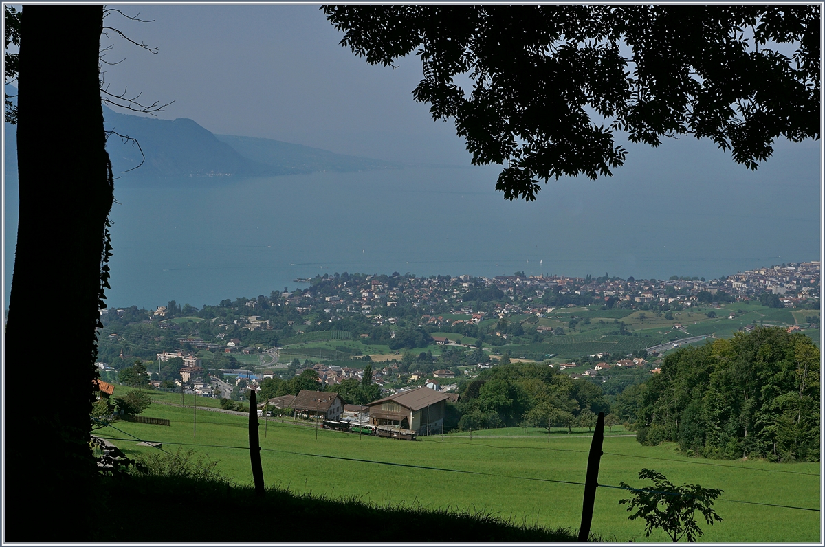 Am 1. August, wenn wir frei haben ist es zur Tradition geworden von Blonay nach Chamby zu wandern und mit der BC zurückzufahren. Dies eröffnet immer wieder interessante Blicke auf die Blonay-Chamby Bahn: 
Schon fast am Ziel schweift der Blick über die Riviera und denn Lac Léman, während die BC G 2 x2/2 105 mit ihrem Zug Richtung Chaulin dampft.
1. August 2017