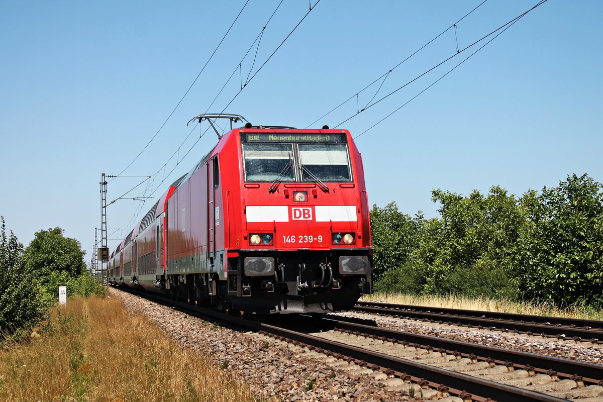 Am 10.07.2015 bespannte die Freiburger 146 239-9 eine RB (Offenburg - Neuenburg (Baden)) als sie bei Hügelheim in Kürze in den vorletzten Bahnhof von Müllheim (Baden) einfuhr.