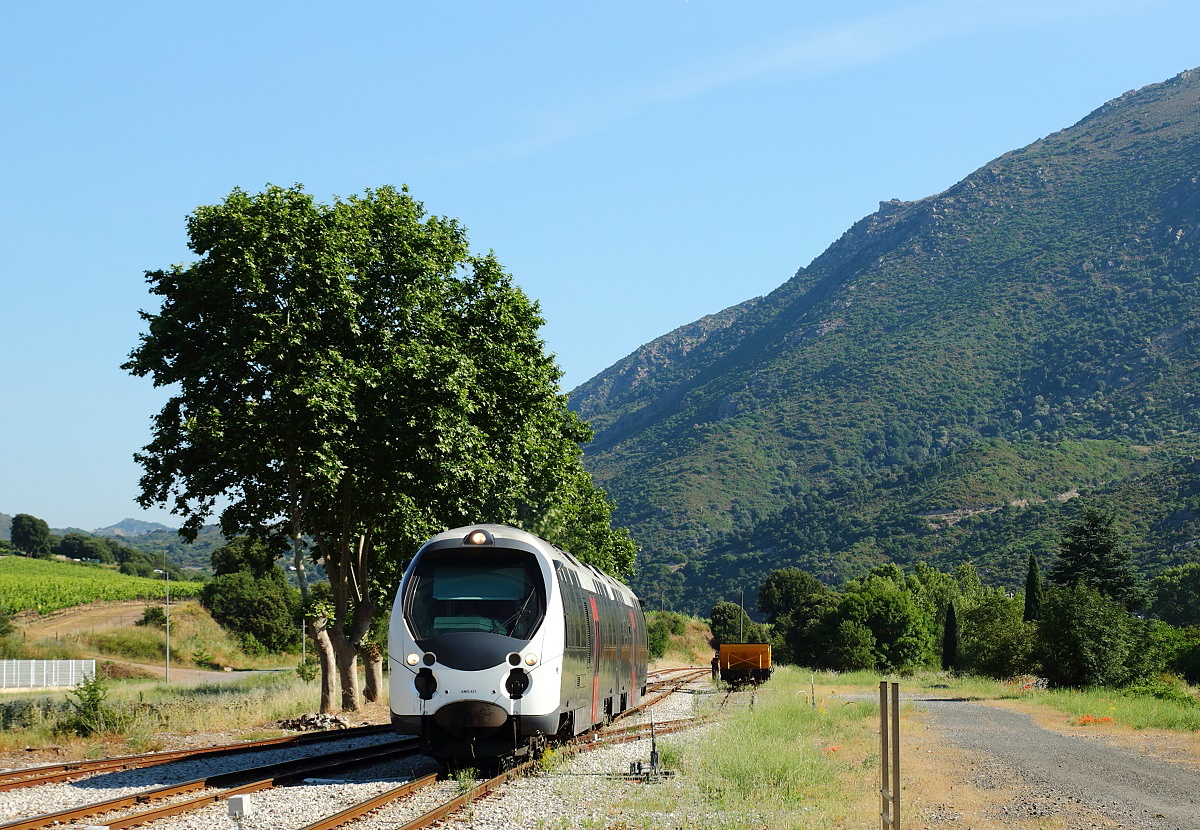 Am 12.06.2014 fahren AMG 821 und 822 der CFC mit dem morgendlichen Zug von Bastia nach Ajaccio in Ponte Leccia ein