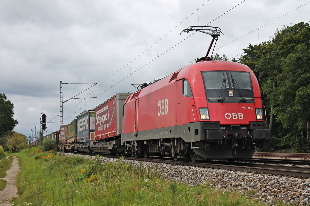 Am 12.09.2019 bespannte 1116 101 einen langen KLV von Deutschland nach Österreich, als sie bei Zorneding in Richtung Aßling fuhr.