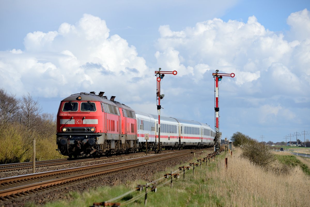 katzen kostenlos frankfurt am main