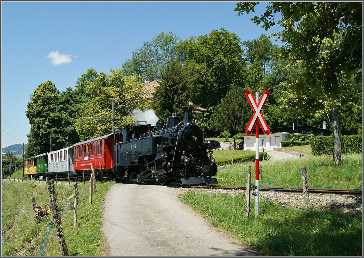 Am 28. Juni 2015 dampft die BFD HG 3/4 N° 3 mit einem bunten Zug Richtung Chamby und konnte bei Chaulin fotografiert werde. 
