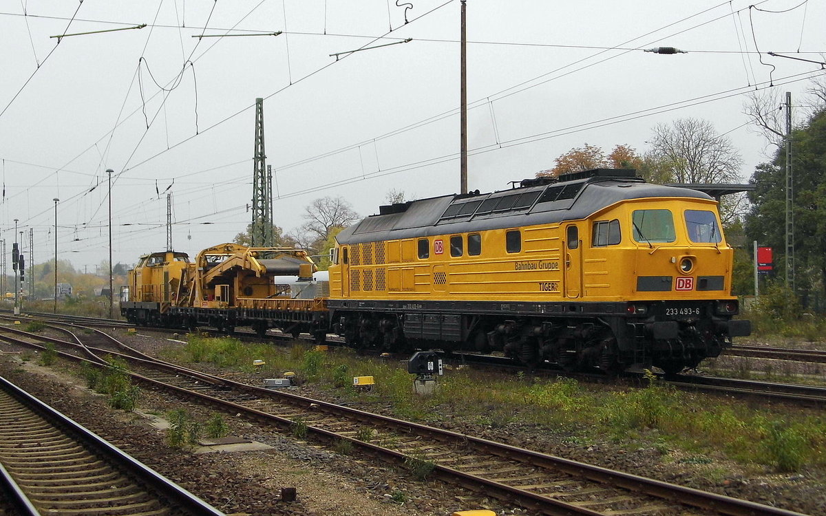Am 28.10.2016 fuhren die  233 493-6  und die 293 008-9 von der Bahnbau Gruppe von Stendal nach Magdeburg.