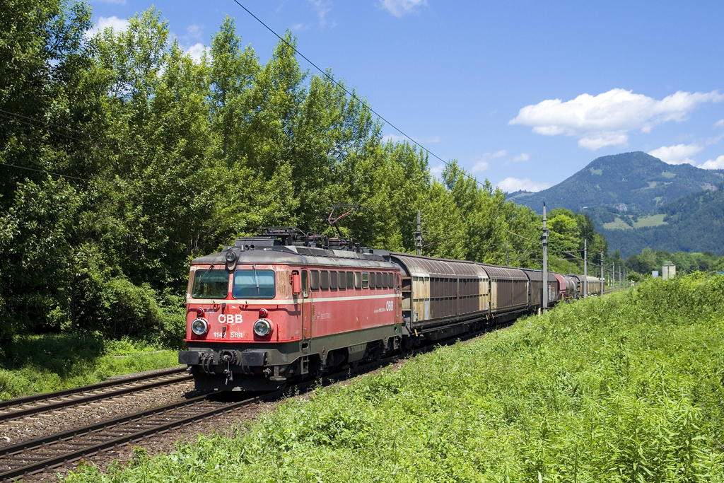 Am 29. Juni 2016 war die 1142 564 mit dem Güterzug 62753 von Frohnleiten nach Graz unterwegs und ist hier vor der mächtigen Kulisse des 1181 Meter hohen Kreuzkogels zu sehen. 