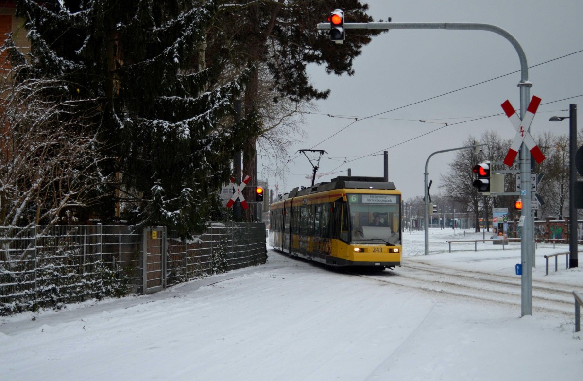 Am 29.12.2014 gab es die seltene weiße Pracht in der Fächerstadt Karlsruhe zu dokumentieren. In der Nähe des Alten Schlachthofes begegnete mir dabei Tw 243 (einer der wenigen die noch einen Zielfilm haben) als Linie 6 zum Hirtenweg. 