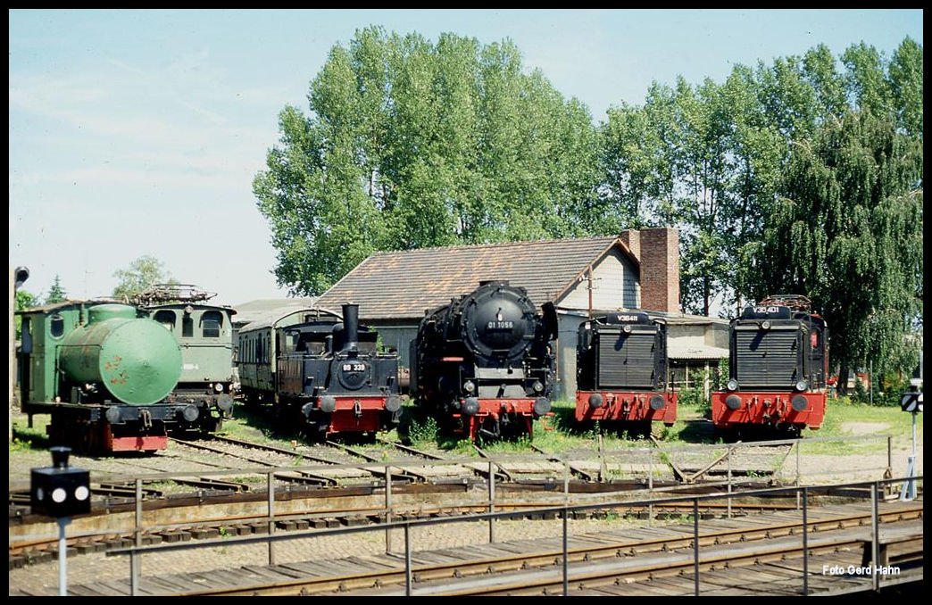 Am 7.7.1991 waren diverse Loks rund um die Drehscheibe im Museum Darmstadt Kranichstein versammelt. Darunter befand sich auch der damalige Neuzugang aus Rheine in Form der 011056.