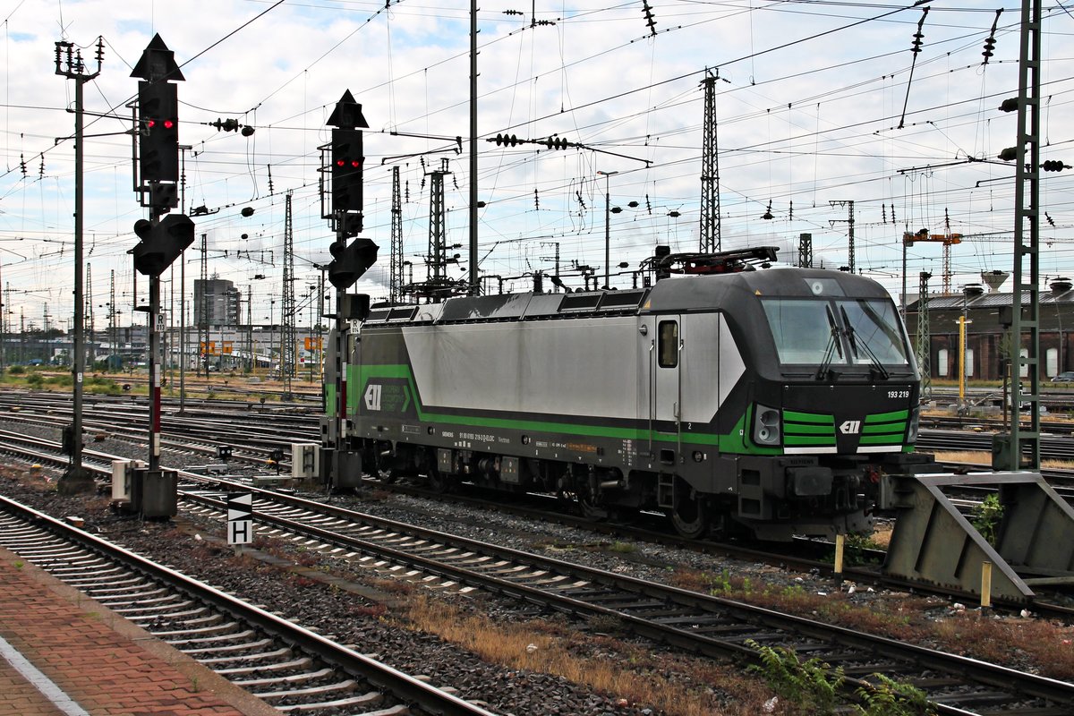 Am Morgen des 18.06.2016 stand ELL/SETG 193 219 abgestellt auf einem Stumpfgleis im Mannheimer Hauptbahnhof und wartete dort auf ihren nächsten Einsatz.