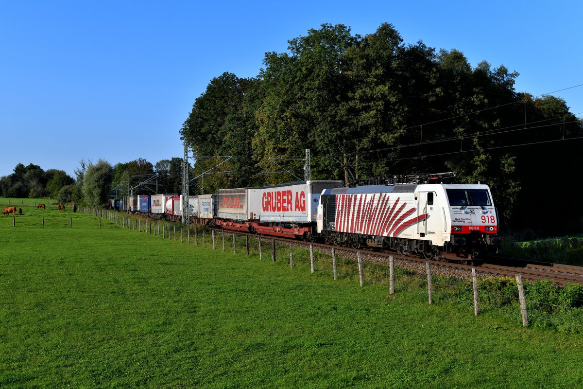 Am späten Nachmittag des 19. September 2018 kam die 189 918 mit ihrem DGS 43135 von München-Riem nach Verona Q.E. am Bü Vogl vorbei. Die Rinder auf der Weide ließen sich dadurch bei der Nahrungsaufnahme nicht stören. 