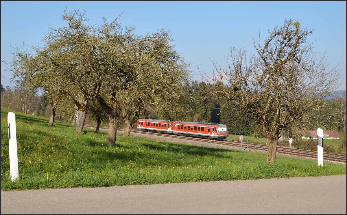 An der Allgäubahn war im April der Frühling noch nicht weil gediehen. 628 in der Nähe von Schlachters. April 2016.