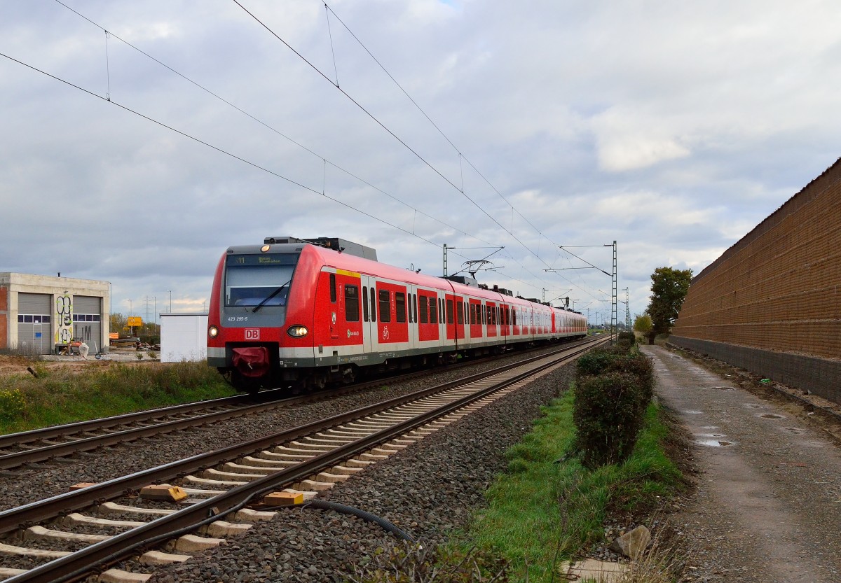An der Spitze einer S11 nach Düsseldorf Flughafen ist der 423 295-5 bei der Anfahrt auf den Haltepunkt Allerheiligen zusehen. 10.11.2013